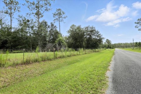 Land in Live Oak, Florida № 1813139 - photo 1