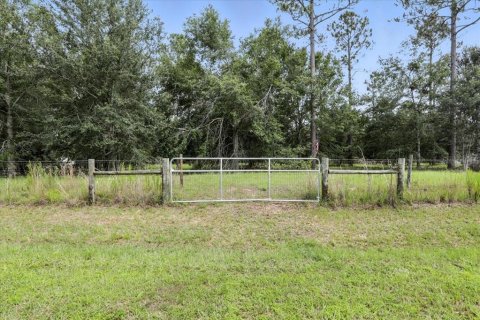 Land in Live Oak, Florida № 1813139 - photo 3