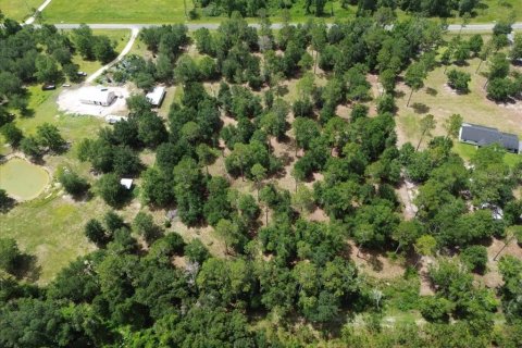 Land in Live Oak, Florida № 1813139 - photo 10
