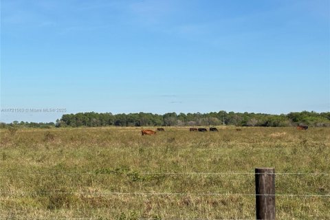 Commercial property in Clewiston, Florida № 1985413 - photo 4