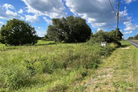 Terrain à vendre à Weirsdale, Floride № 2225636 - photo 4