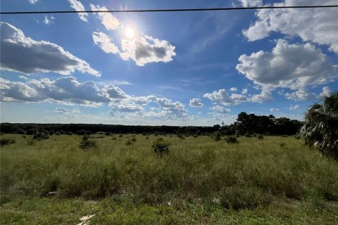 Terrain à vendre à Weirsdale, Floride № 2225636 - photo 6