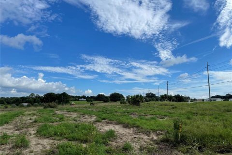 Terrain à Weirsdale, Floride № 2225636