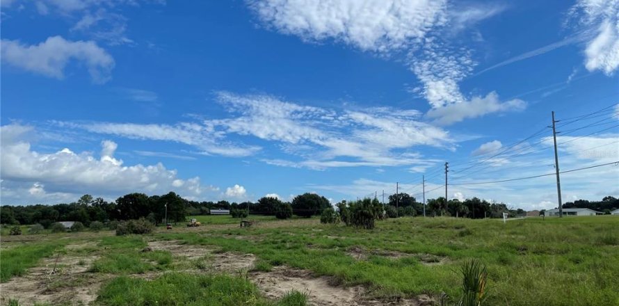 Terrain à Weirsdale, Floride № 2225636