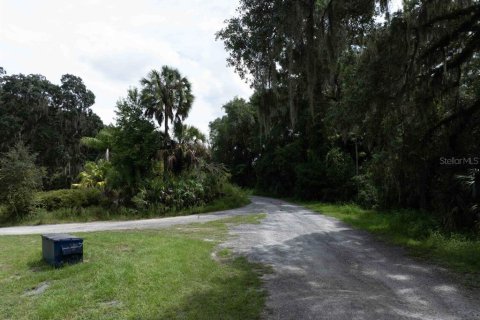 Terreno en venta en Wildwood, Florida № 1558906 - foto 9