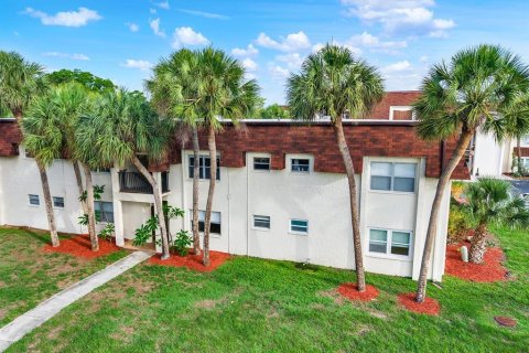 Condo in Saint Petersburg, Florida, 1 bedroom  № 2211827