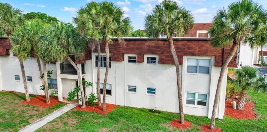 Condo in Saint Petersburg, Florida, 1 bedroom № 2211827