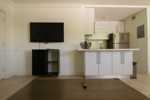 Apartamento en alquiler en Miami Beach, Florida, 1 dormitorio, 47.38 m2 № 1942892 - foto 19