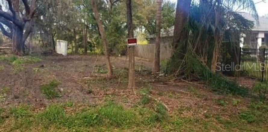 Land in Orlando, Florida № 1857716
