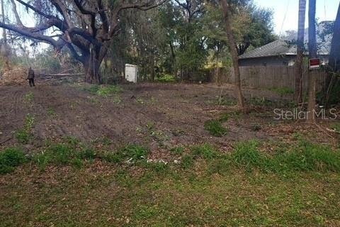 Land in Orlando, Florida № 1857716 - photo 3