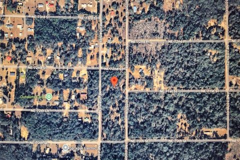 Land in Bronson, Florida № 2161798 - photo 3