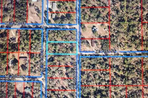 Land in Bronson, Florida № 2161798 - photo 2