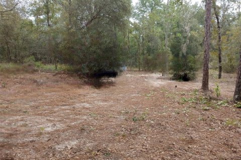 Land in Bronson, Florida № 2161798