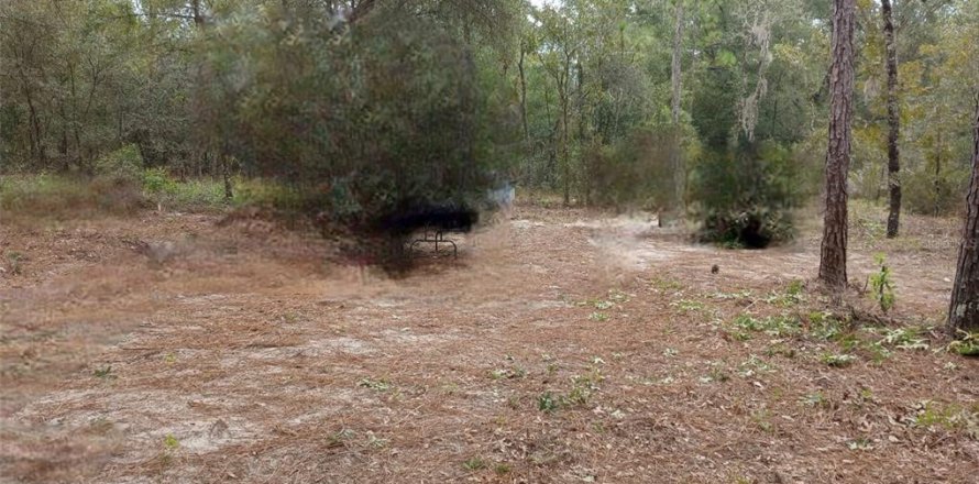 Land in Bronson, Florida № 2161798