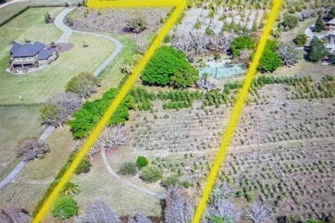 Land in Auburndale, Florida № 2108151 - photo 12