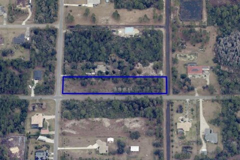 Land in Orlando, Florida № 1768081 - photo 2