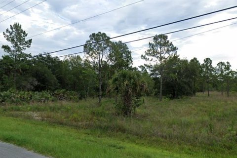 Land in Orlando, Florida № 1768081 - photo 1