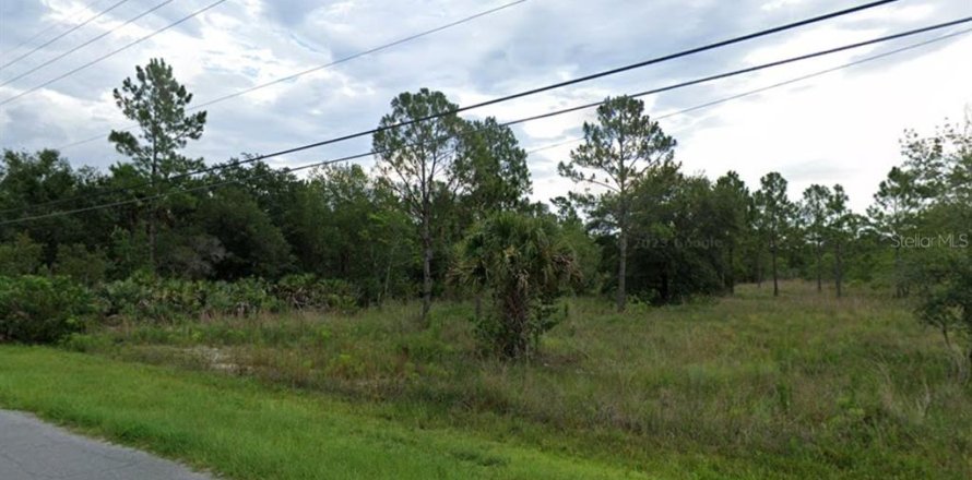 Land in Orlando, Florida № 1768081