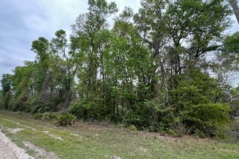 Terreno en venta en Branford, Florida № 2112657 - foto 6