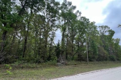 Terreno en venta en Branford, Florida № 2112657 - foto 4