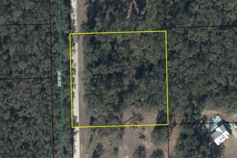 Terreno en venta en Branford, Florida № 2112657 - foto 2