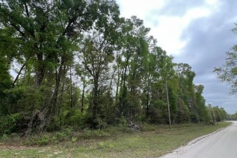 Terreno en venta en Branford, Florida № 2112657 - foto 5