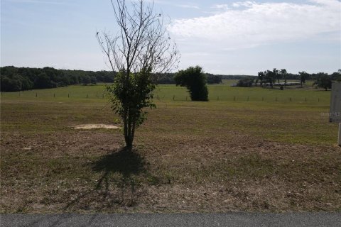 Terrain à vendre à Dade City, Floride № 2094125 - photo 23