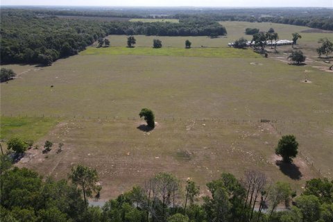 Terrain à Dade City, Floride № 2094125
