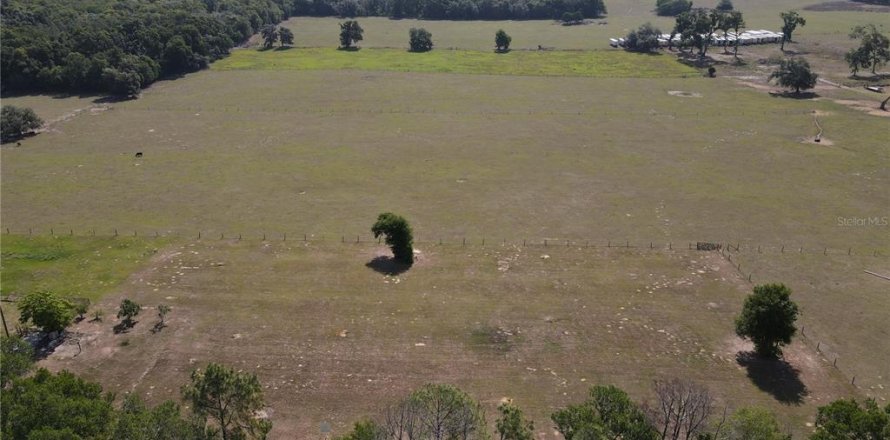 Terrain à Dade City, Floride № 2094125