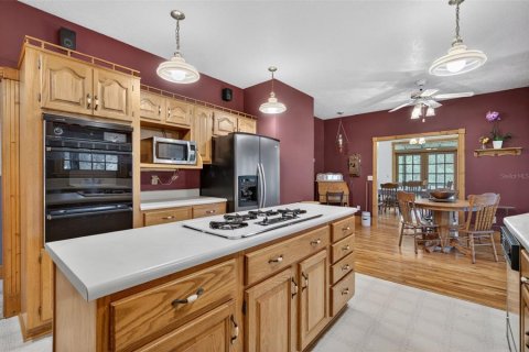 Villa ou maison à vendre à Eustis, Floride: 4 chambres, 288.93 m2 № 2114084 - photo 26