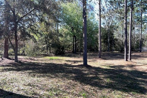 Villa ou maison à vendre à Williston, Floride: 2 chambres, 136.66 m2 № 1526797 - photo 22