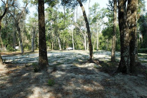 Land in Webster, Florida № 1759499 - photo 6