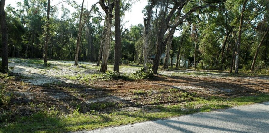 Land in Webster, Florida № 1759499