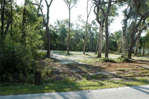 Land in Webster, Florida № 1759499 - photo 11