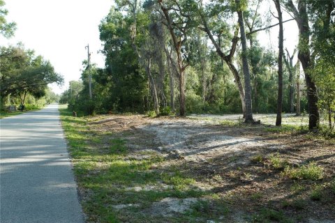 Land in Webster, Florida № 1759499 - photo 3