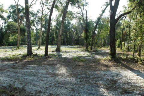 Land in Webster, Florida № 1759499 - photo 13