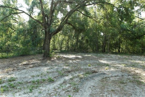 Land in Webster, Florida № 1759499 - photo 7