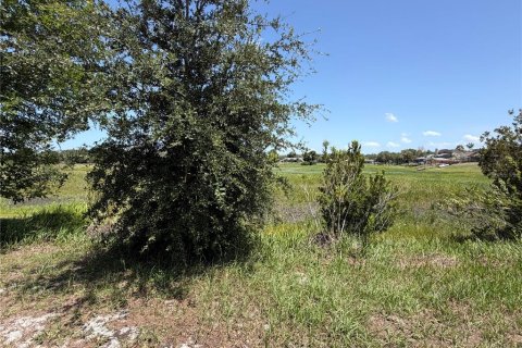 Terrain à vendre à Spring Hill, Floride № 2234716 - photo 3
