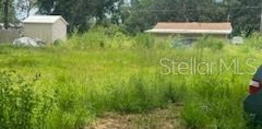 Land in Lakeland, Florida № 1838989