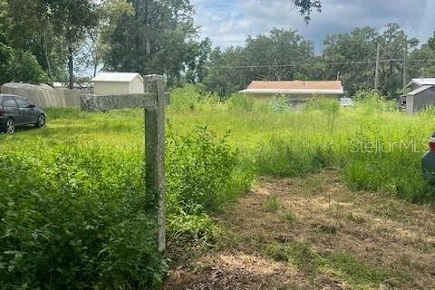 Land in Lakeland, Florida № 1838989 - photo 2