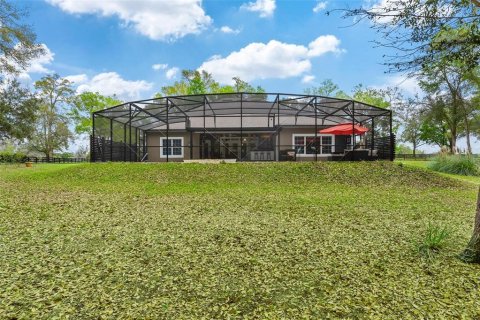 Villa ou maison à vendre à Eustis, Floride: 3 chambres, 288.37 m2 № 2101492 - photo 21