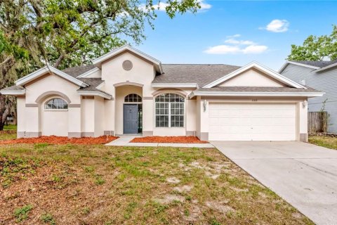 Villa ou maison à Valrico, Floride 3 chambres, 159.88 m2 № 2208620