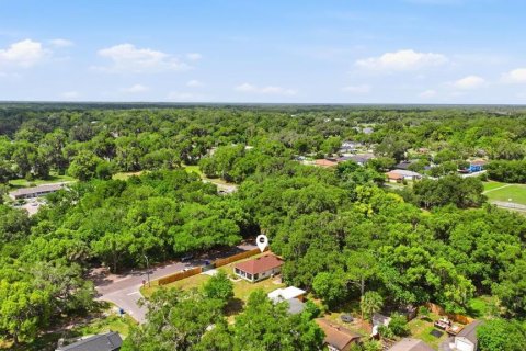 Купить виллу или дом в Деланд, Флорида 4 комнаты, 89.37м2, № 2214496 - фото 29