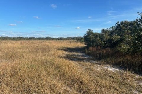 Immobilier commercial à vendre à Okeechobee, Floride № 2182105 - photo 3