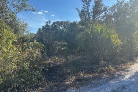 Commercial property in Okeechobee, Florida № 2182105