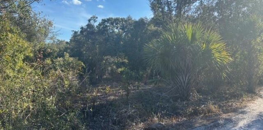 Immobilier commercial à Okeechobee, Floride № 2182105