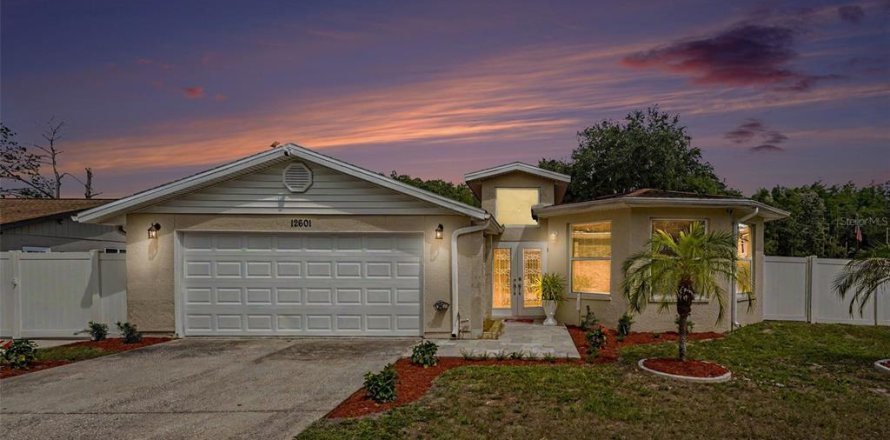Villa ou maison à Tampa, Floride 4 chambres, 174.93 m2 № 2097242