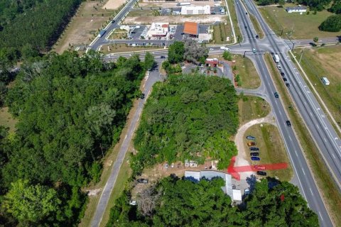 Commercial property in Alachua, Florida № 2098875 - photo 12