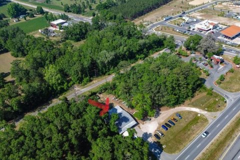 Commercial property in Alachua, Florida № 2098875 - photo 13