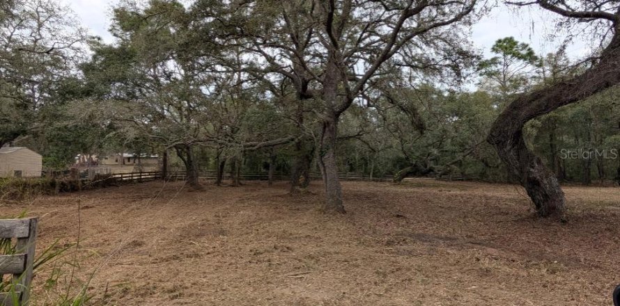 Land in Umatilla, Florida № 1824946